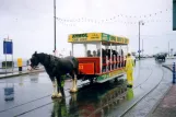 Douglas, Isle of Man Horse Drawn Trams med åben hestesporvogn 33 ved Sea Terminal  set forfra (2006)