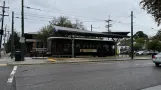 New Orleans linje 12 St. Charles Streetcar med motorvogn 954 ved Carrollton (2024)