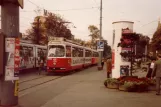 Wien sporvognslinje 6 med ledvogn 4303 ved Westbahnhof (1982)