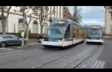 Strasbourg: Trams Going Between Place Broglie and Republique.