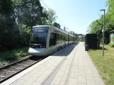Aarhus letbanelinje L1 med lavgulvsledvogn 2104-2204 ved Hovmarken (2023)