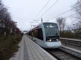 Aarhus letbanelinje L1 med lavgulvsledvogn 2108-2208 ved Torsøvej (2019)