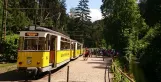 Bad Schandau Kirnitzschtal 241 med motorvogn 6 ved Kurpark (2015)