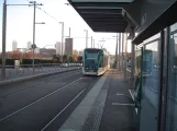 Barcelona sporvognslinje T4 med lavgulvsledvogn 16 ved Ca l'Aranyó (2015)
