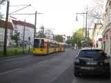 Berlin hurtiglinje M1 med lavgulvsledvogn 1037 på Breite Strasse, Pankow (2016)