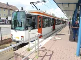 Bielefeld sporvognslinje 2 med ledvogn 559 ved Sieker (2022)