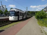 Bielefeld sporvognslinje 4 med ledvogn 5011 "Holtkamp" ved Lohmannshof (2022)