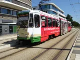 Brandenburg an der Havel sporvognslinje 1 med ledvogn 177 ved Hauptbahnhof (2024)