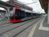 Bremen sporvognslinje 10 med lavgulvsledvogn 3425 i Gröpelingen (2023)