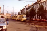 Bruxelles ledvogn 7901 på Avenue du Roi (1981)