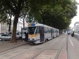 Bruxelles sporvognslinje 51 med ledvogn 7919 ved Lemonnier (2017)