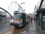 Bruxelles sporvognslinje 81 med ledvogn 7925 ved Mouterij/Germoir (2019)