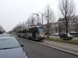 Bruxelles sporvognslinje 81 med ledvogn 7937 på Avenue de Tervueren (2019)