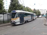Bruxelles sporvognslinje 81 med ledvogn 7961 ved Bara (2017)