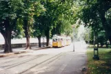Budapest sporvognslinje 19 på Groza Péter rakpark (Szilágyi Dezső tér) (1994)