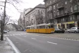 Budapest sporvognslinje 49 med ledvogn 1446 tæt på Gárdonyi tér (2013)