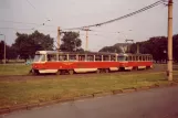 Dresden sporvognslinje 11 med motorvogn 222 828-7 nær Prager Str. (1983)