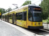 Dresden sporvognslinje 8 med lavgulvsledvogn 2619 ved Hellerau Kiefernweg (2019)