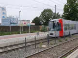Düsseldorf sporvognslinje 704 ved Auf's Hennekamp (2020)
