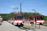 Erfurt sporvognslinje 5 med ledvogn 530 ved Zoopark (2008)