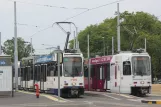 Geneve sporvognslinje 13 med ledvogn 810 ved Nations (2010)