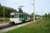 Gera sporvognslinje 3 med ledvogn 351 ved Bieblach-Ost (2015)