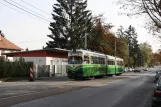 Graz sporvognslinje 7 med ledvogn 584 på Burenstraße (2008)