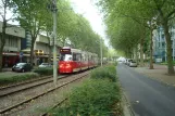 Haag sporvognslinje 6 med ledvogn 3099 ved Vlamenburg (2014)