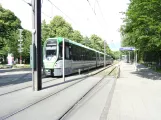 Hannover sporvognslinje 8 med ledvogn 3104 ved Am Mittelfeld (2020)