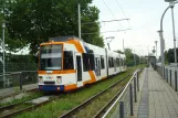 Heidelberg sporvognslinje 26 med ledvogn 3269 ved Messplatz (2014)