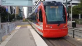 Houston sporvognslinje Rød med lavgulvsledvogn 205 ved Bell (2018)