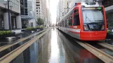 Houston sporvognslinje Rød med lavgulvsledvogn 305 på Main Street (2018)