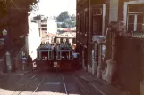 Lissabon kabelbane Elevador da Glória med kabelsporvogn Gloria 1 på Calçada da Glória (1985)