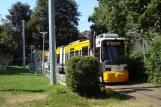 Mainz sporvognslinje 52 med lavgulvsledvogn 211 ved Am Schinnergraben (2010)