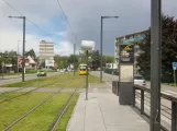 Mulhouse sporvognslinje Tram 1 ved Châtaignier (2019)