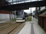 Odense Letbane med lavgulvsledvogn 07 "Drømmen" på Campusvej (2024)