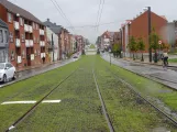 Odense nær Palnatokesvej (2021)