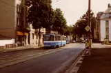 Plauen sporvognslinje 1 med ledvogn 207 på Pausaer Straße (1990)