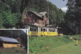 Postkort: Bad Schandau Kirnitzschtal 241 med motorvogn 8 nær Elbsandsteingebirge (2000)