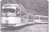 Postkort: Bielefeld sporvognslinje 1 ved Senne (1965)