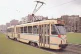 Postkort: Bruxelles sporvognslinje 90 med ledvogn 7821 nær Montgomery (1982)