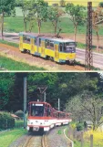 Postkort: Gotha regionallinje 4 Thüringerwaldbahn med ledvogn 303 nær Wahlwinkel - Friedrichroda (1999-2003)