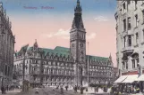 Postkort: Hamborg på Rathausmarkt (1895)
