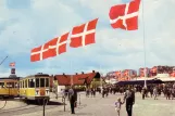 Postkort: København dyrskuelinje Buh med bivogn 1569 ved Dyrskuepladsen  Bellahøj (1958-1961)