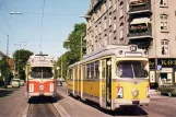 Postkort: København sporvognslinje 1 med ledvogn 803 ved Hellerup  Callisensvej (1963-1965)