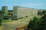 Postkort: Stettin på aleja Wyzwolenia (1980)