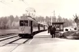 Postkort: Stockholm sporvognslinje 19 med motorvogn 359 ved Svedmyra (1930)