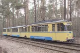 Postkort: Woltersdorf sporvognslinje 87 med motorvogn 31 nær Rahnsdorf (2000)