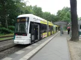Potsdam sporvognslinje 91 med lavgulvsledvogn 427 "Sansibar" ved Bhf Rehbrücke (2023)