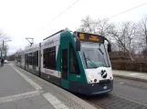 Potsdam sporvognslinje 96 med lavgulvsledvogn 407 "Basel" ved Puschkinallee (2018)